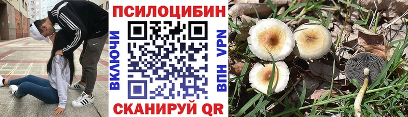 Галлюциногенные грибы Magic Shrooms Обнинск